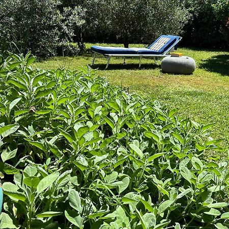 Golden Hill - Big Rooms With Kitchen And Garden Collina d'Oro Exteriér fotografie