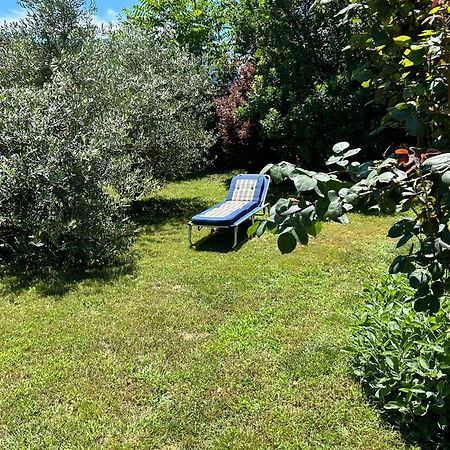 Golden Hill - Big Rooms With Kitchen And Garden Collina d'Oro Exteriér fotografie