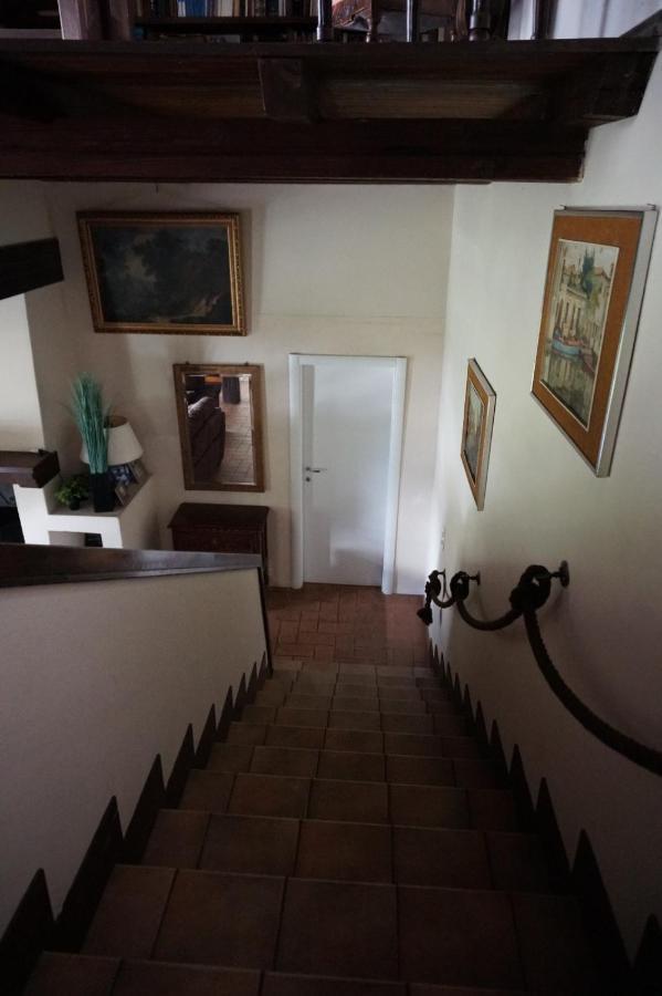 Golden Hill - Big Rooms With Kitchen And Garden Collina d'Oro Exteriér fotografie