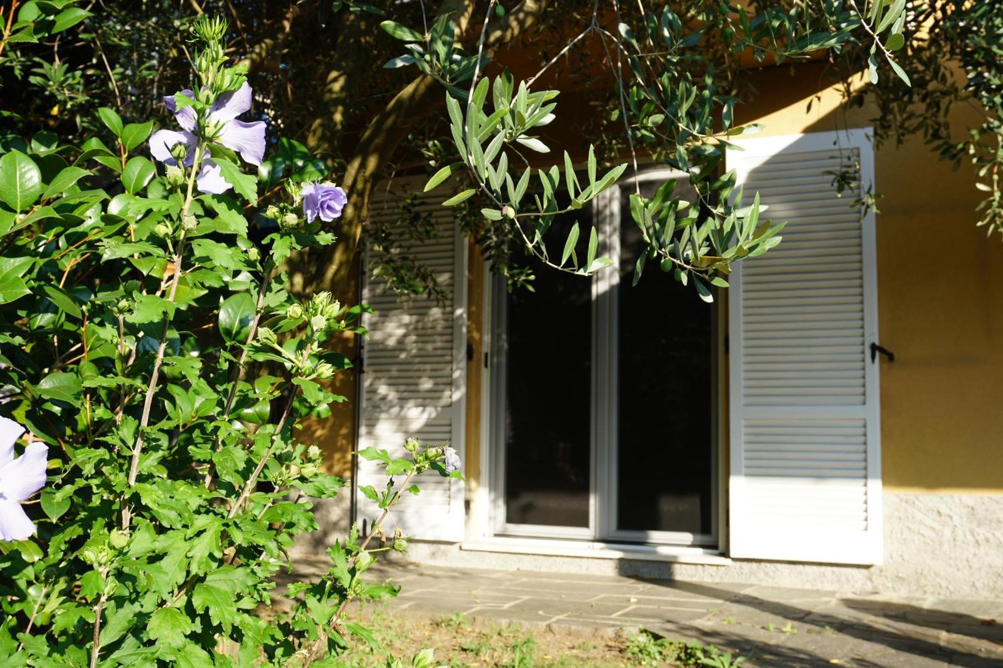 Golden Hill - Big Rooms With Kitchen And Garden Collina d'Oro Exteriér fotografie